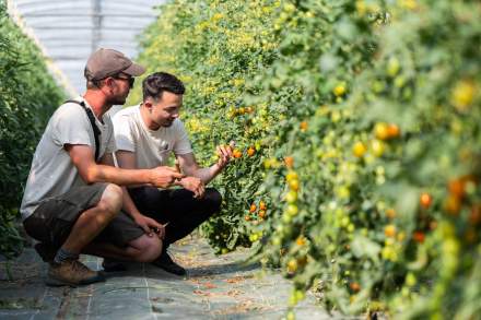 Producteurs et territoire · Séchex Nous