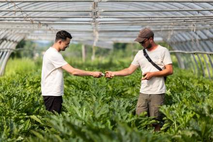 Producteurs et territoire · Séchex Nous
