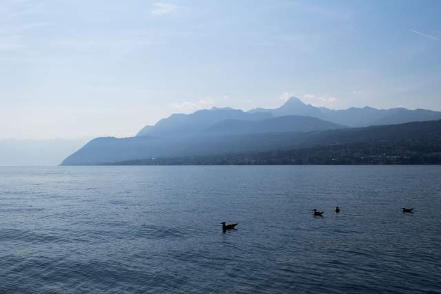 Paysage · Restaurant étoilé Lac Léman, Rhône-Alpes · Séchex-Nous