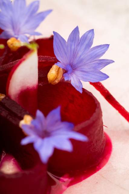 Plat · Restaurant étoilé Lac Léman, Rhône-Alpes · Séchex-Nous